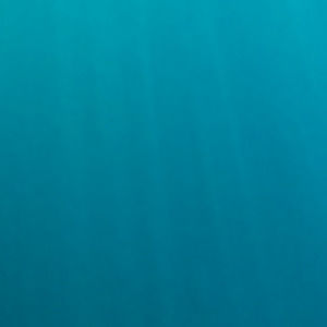 Meet your Posher, Rahul